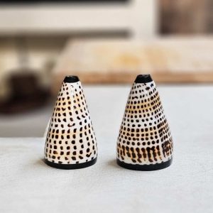Peper & Zoutstel schelp